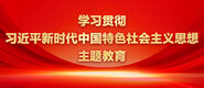 曹逼电影网学习贯彻习近平新时代中国特色社会主义思想主题教育_fororder_ad-371X160(2)